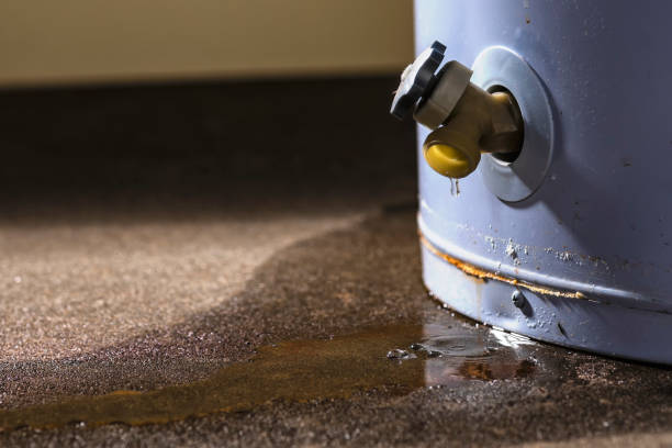 Best Water damage cleanup near me  in Bacliff, TX