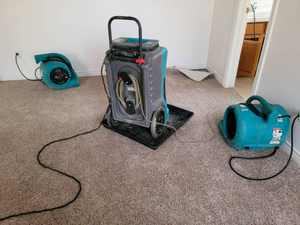 Best Flood restoration services  in Bacliff, TX