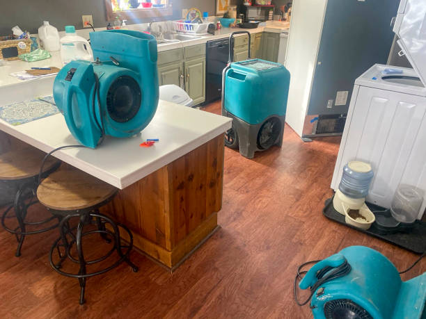 Best Ceiling water damage repair  in Bacliff, TX