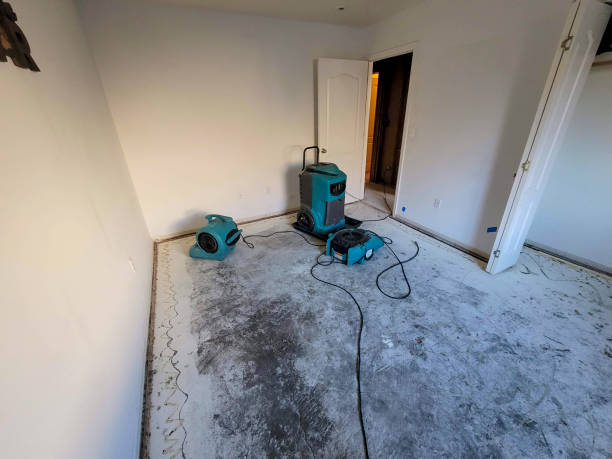 Best Flooded house restoration  in Bacliff, TX