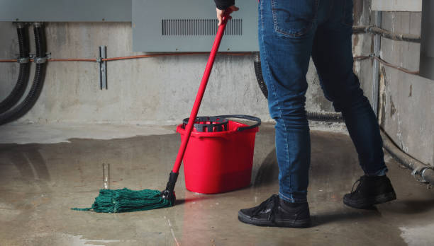  Bacliff, TX Water damage restoration Pros