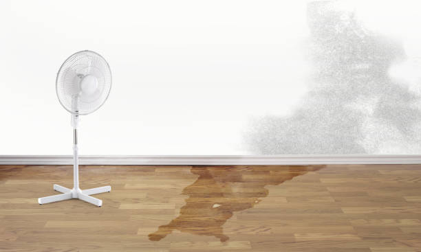 Best Water damage cleanup near me  in Bacliff, TX