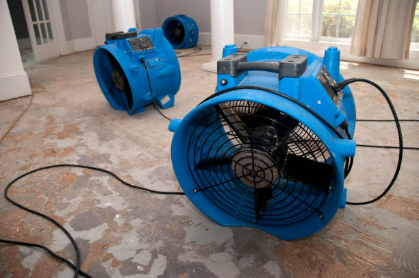 Best Water damage restoration near me  in Bacliff, TX