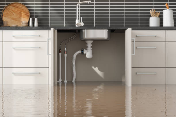 Best Sewage cleanup and water damage restoration  in Bacliff, TX