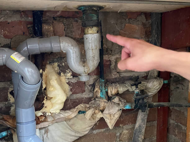 Best 24/7 water damage repair  in Bacliff, TX