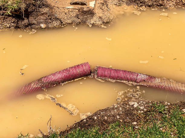 Best Local water damage restoration  in Bacliff, TX