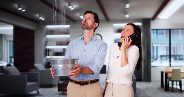 Best Mold removal after water damage  in Bacliff, TX